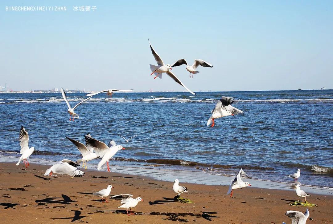 古北水镇游览路线,从古北水镇爬司马台