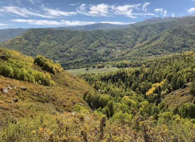 阿勒泰地区，追寻这种冷水溪流中的精灵“花翅子”现在已经禁钓