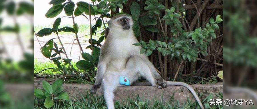 孩子有摩擦癖怎么办,孩子放学身上很脏怎么引导