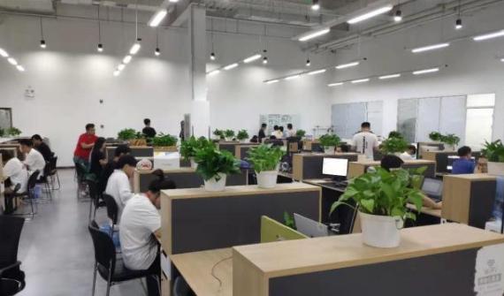 大鹏教育画画学费一般多少钱,大鹏网上画画培训班靠谱吗