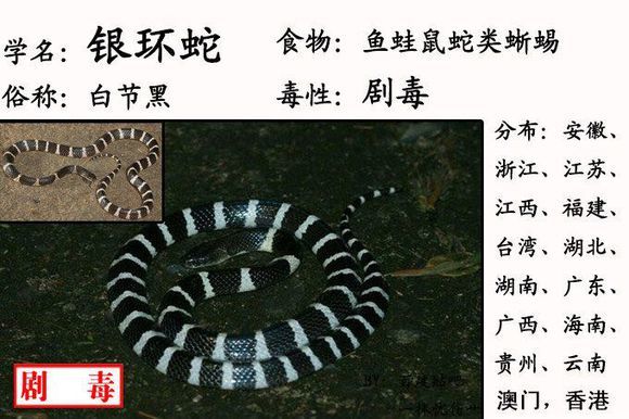 鬼门关跑了一圈,鬼门关里跑了一圈