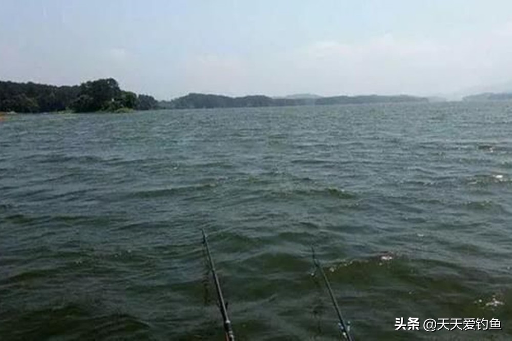秋天西南风钓鱼怎么样,秋天大风钓鱼钓深还是钓浅