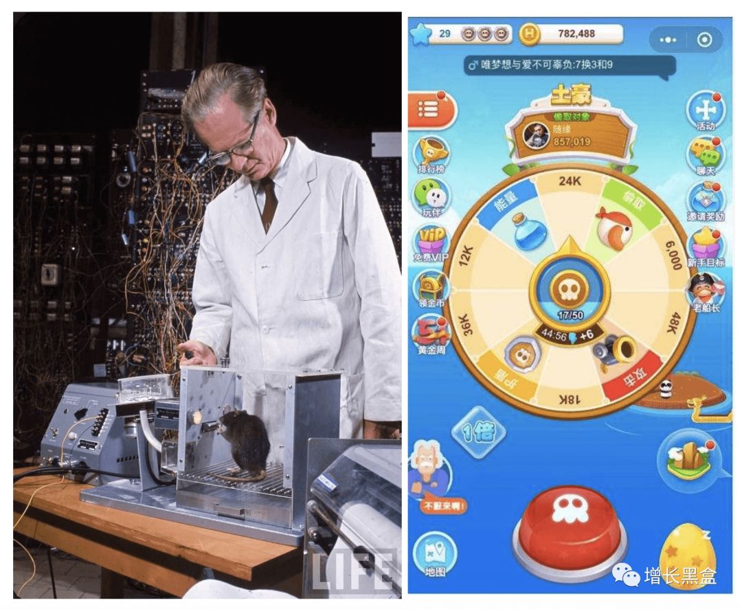 2019年最受欢迎的20款黑客工具盘点,2018年的黑客有哪些