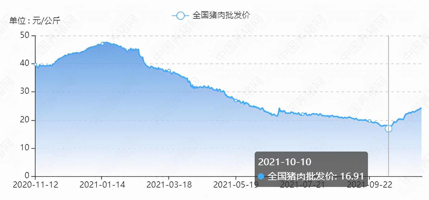 新手上路：猪肉股学习笔记|加减杂谈