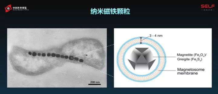 塑料大概多少年才能在自然界降解,塑料究竟可以降解吗