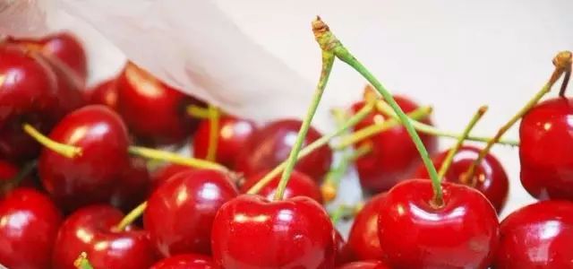 全新疆著名的特产,大新疆有啥特产