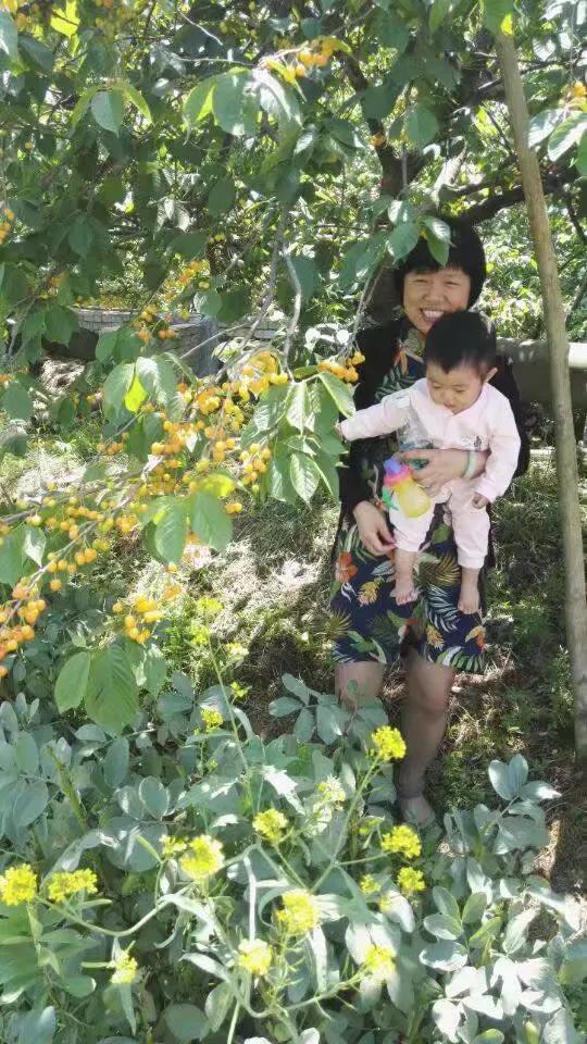 深深的想念歌曲原唱,深深的想念一个人