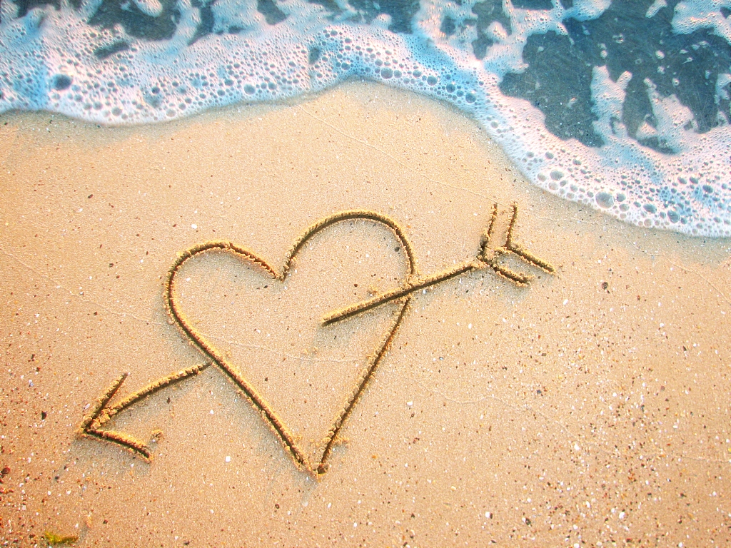 因为一束花带走了一天的难过,因为一束花收拾一间房