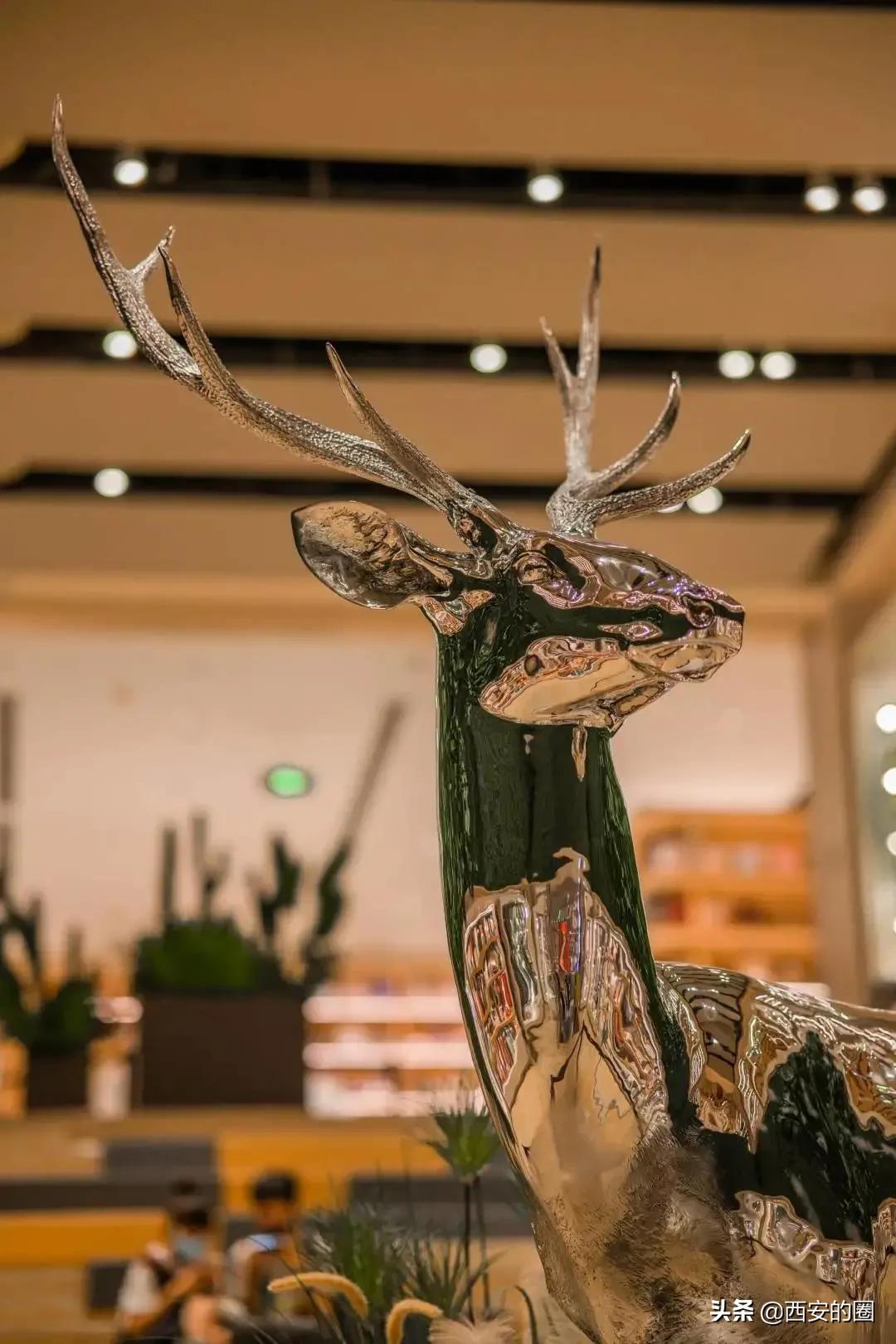 璧拌繘鑹烘湳涔﹀簵,璧拌繎鑹烘湳涔︾睄