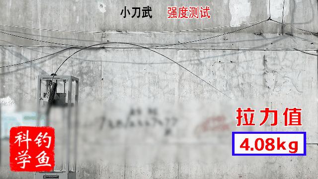 台湾品牌鱼竿十大排名,台湾鱼竿品牌十大排行榜图片