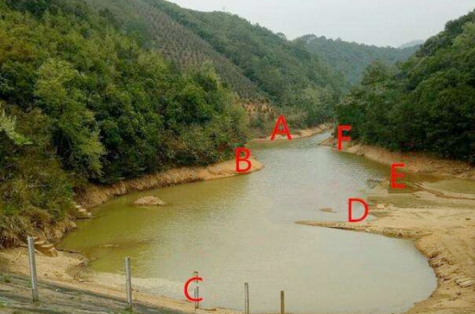 草鱼有多狡猾,怎么钓狡猾的草鱼