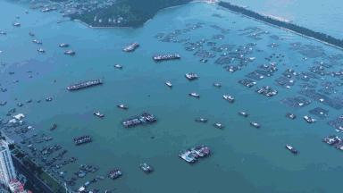 广东开海吃海鲜攻略,开海吃海鲜攻略