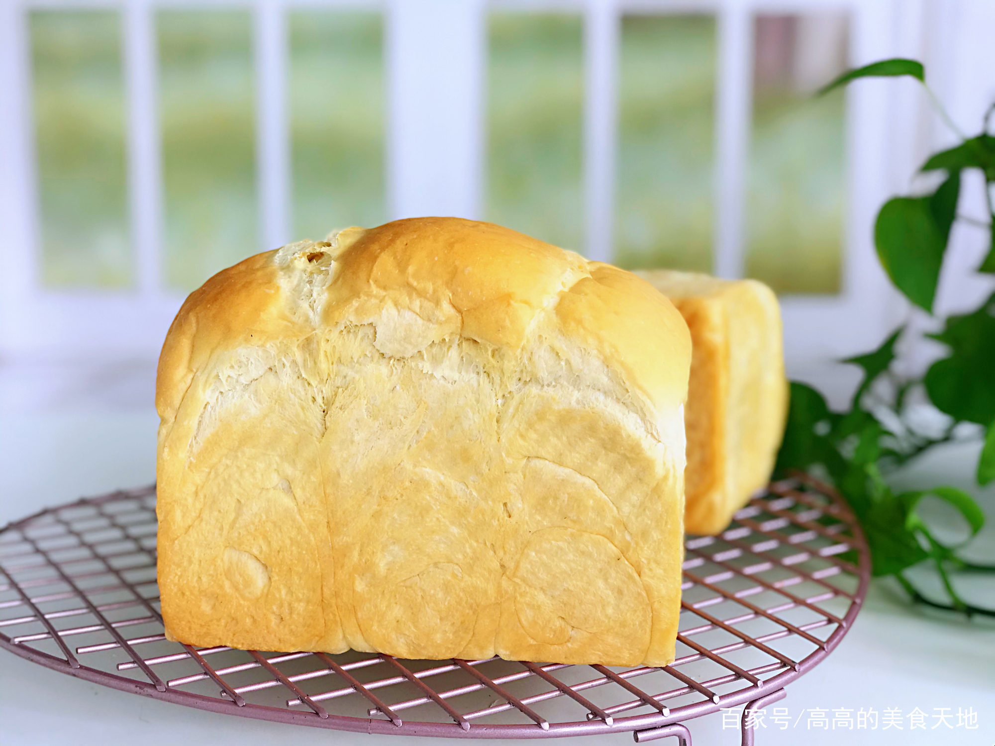 烘焙面包怎么做才松软,自制面包怎么才能不硬