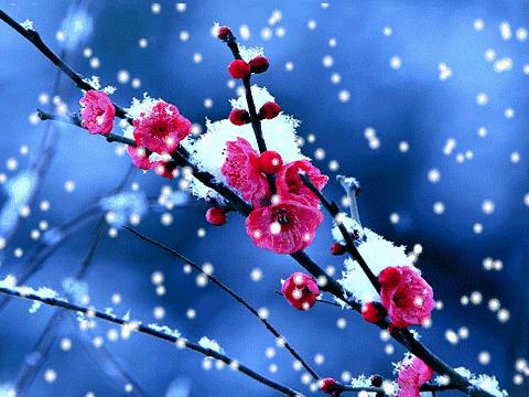 有人思念也是一种幸福的句子,有人思念和牵挂也是幸福