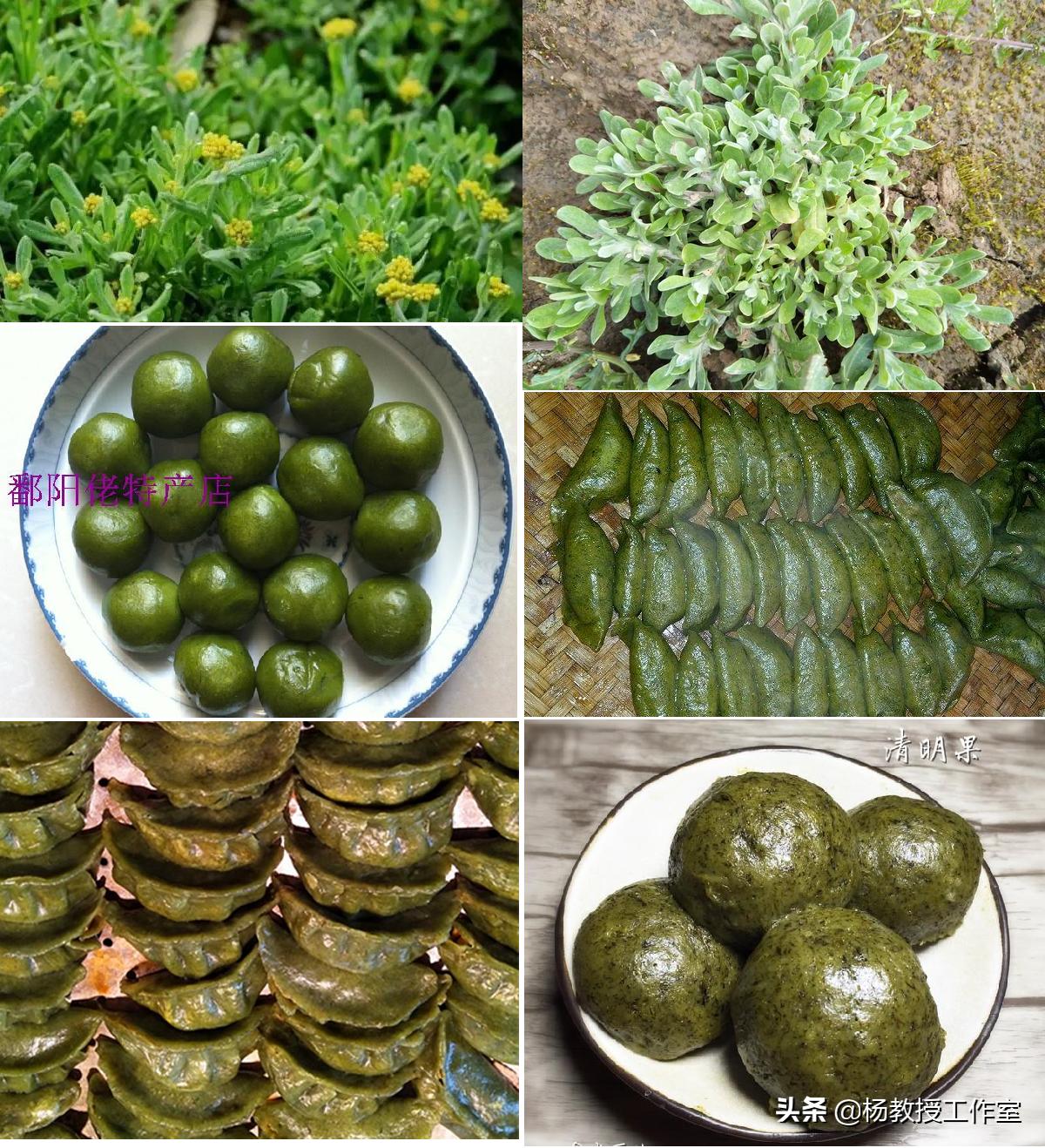 我的美丽家乡鄱阳湖,我的故乡鄱阳