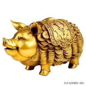 十二生肖的猪和鸡合吗,十二生肖全部猪的介绍