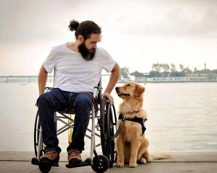 狗狗排行榜适合家养,狗狗最省心最好养的8种狗