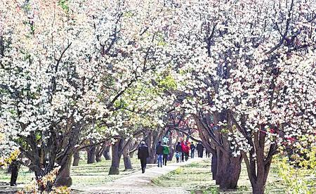 兰州之旅漫游黄河,难忘的兰州黄河之旅