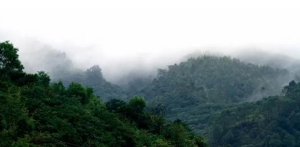 惠阳沙田润杨溪谷温泉电话号码,惠阳沙田润杨溪谷温泉门票
