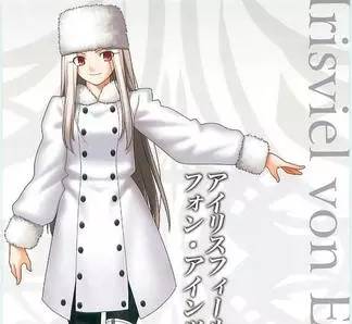 历届圣杯战争胜利者,历届英灵