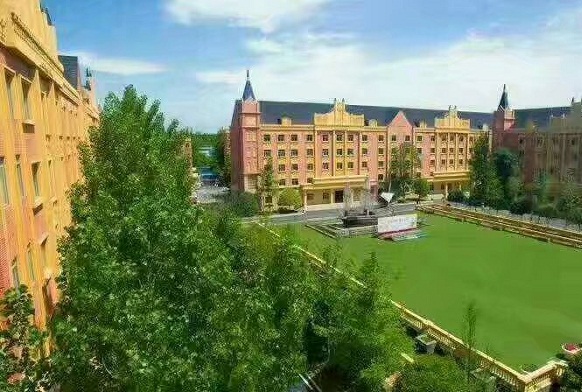 成都单招公立卫校排名前十名,成都卫校排名前十的不限分数