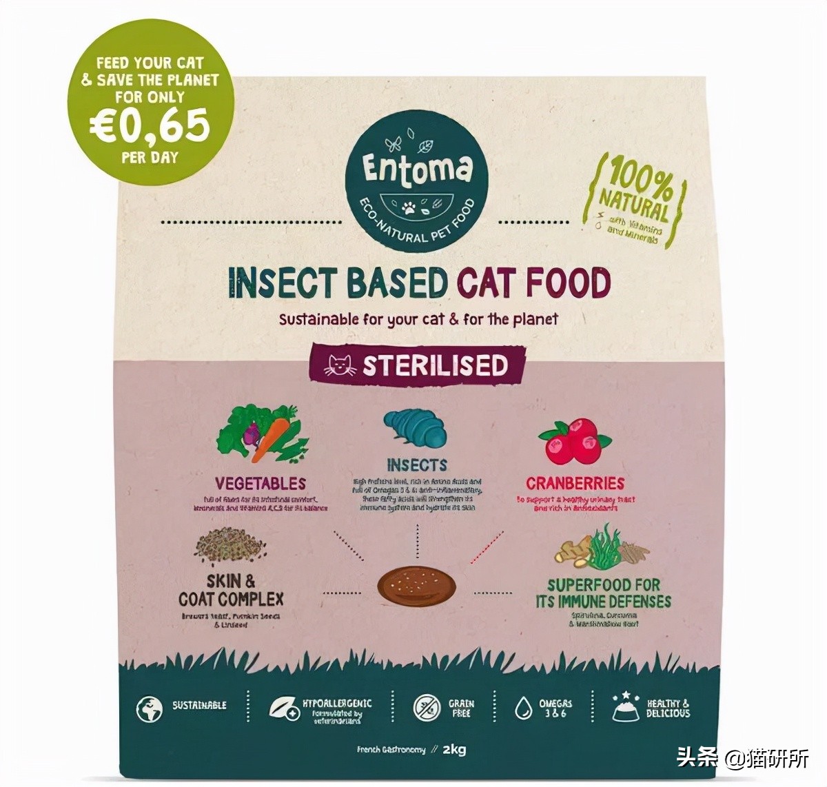 猫咪可以喂自制猫粮吗,用虫子做的食物