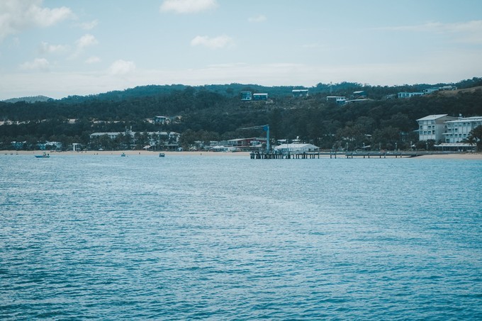 澳洲观鲸攻略,澳洲观鲸之旅