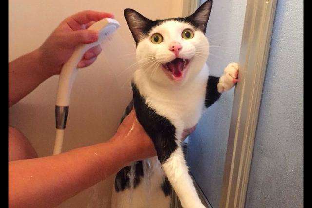 用天然气洗澡水忽冷忽热怎么回事,用太阳能洗澡水忽冷忽热怎么解决