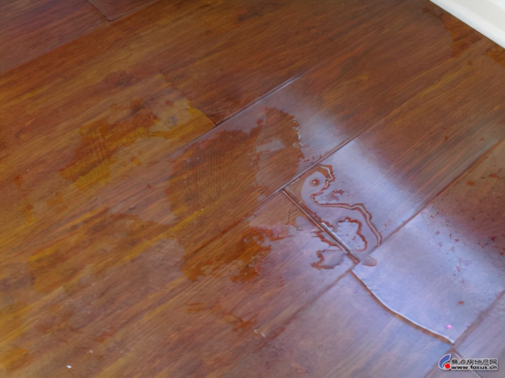 地板漏水怎么解决,地板漏水怎么快速处理