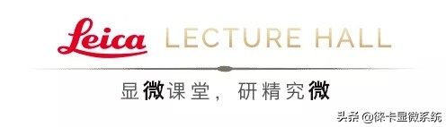 徕卡显微镜官网中文,徕卡小棱镜和大棱镜区别