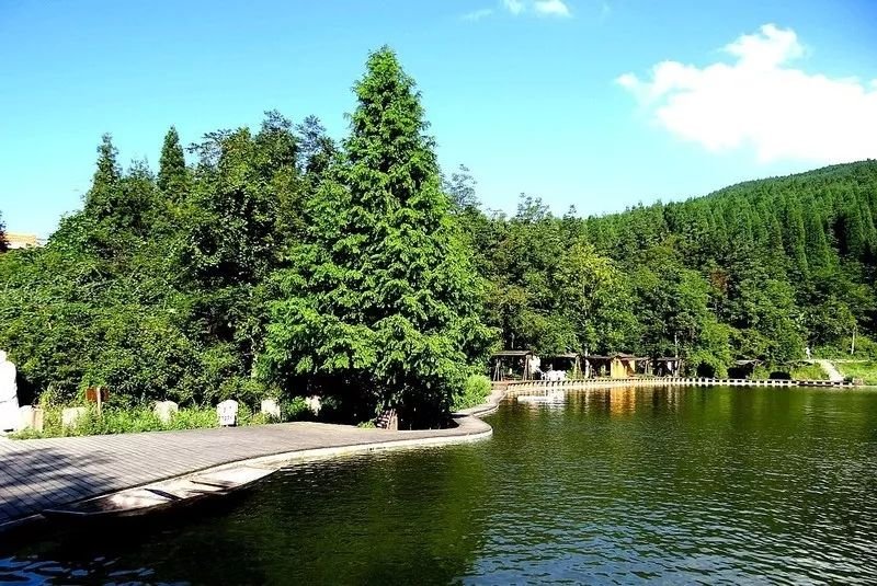 重庆避暑安静凉快推荐,重庆下雨天必去的地方