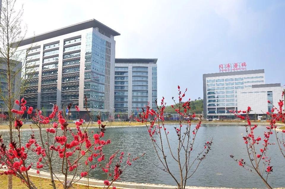 今日圈存！24套！390万起，光谷年度TOP神盘年后首推叠墅！