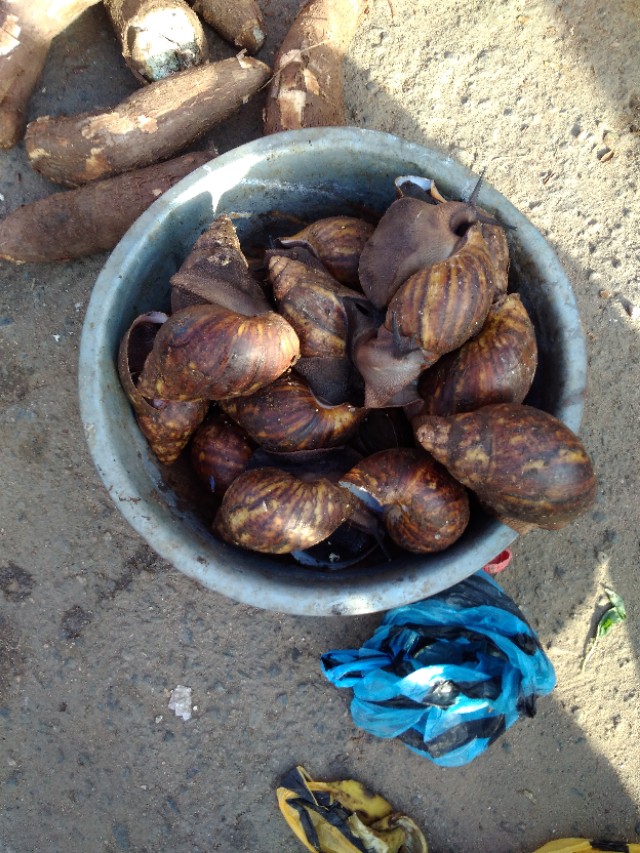 真实非洲尼日利亚(照片背后的故事)四