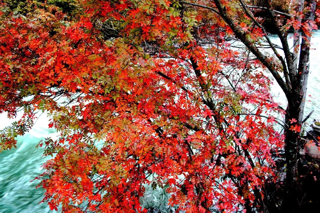 一个被上帝偏爱的地方,一个被上帝遗弃的城市