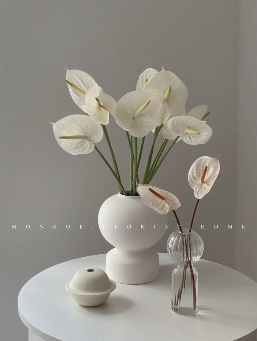 家里要有氛围感什么花比较好,家里高级的花