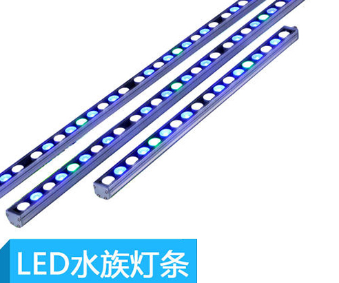 新手客厅鱼缸怎么养鱼,鱼缸养鱼新手入门教程