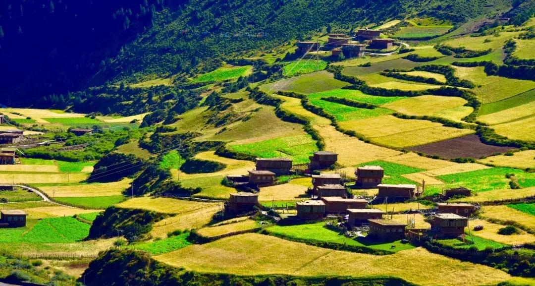 秋天的壤塘风景,壤塘秋天风景