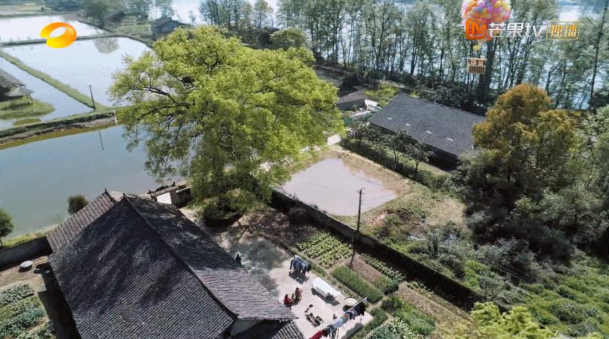 向往的生活收官期待下一季,追完一整部剧为什么越来越困难