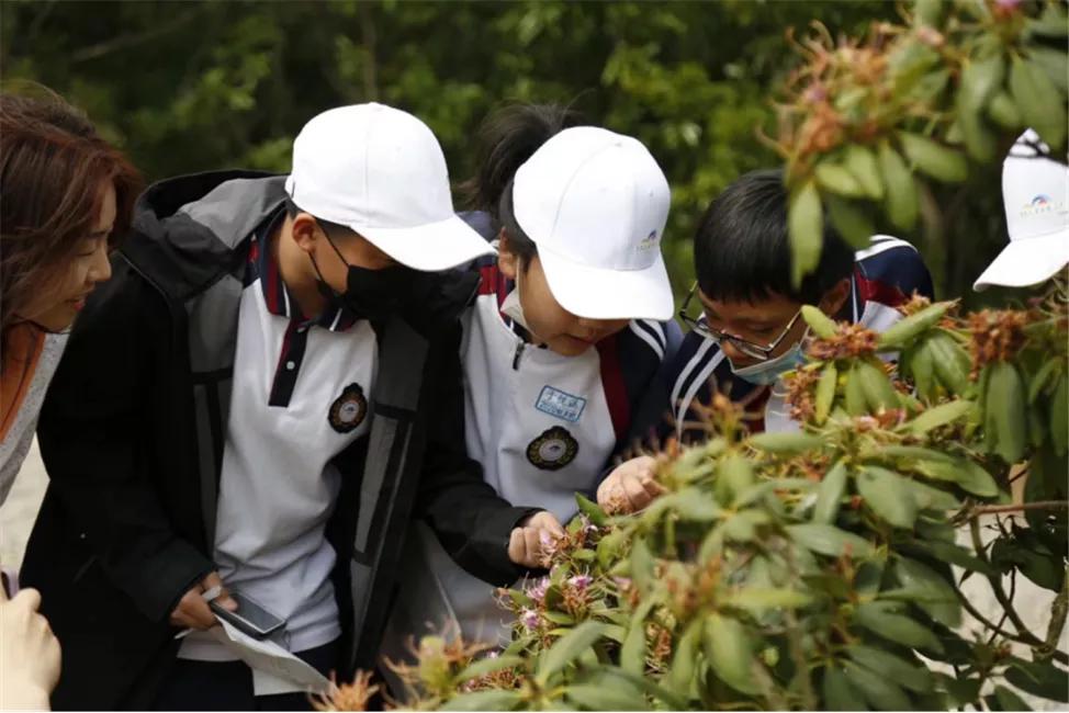 星空露营生态园,星空露营户外团建策划