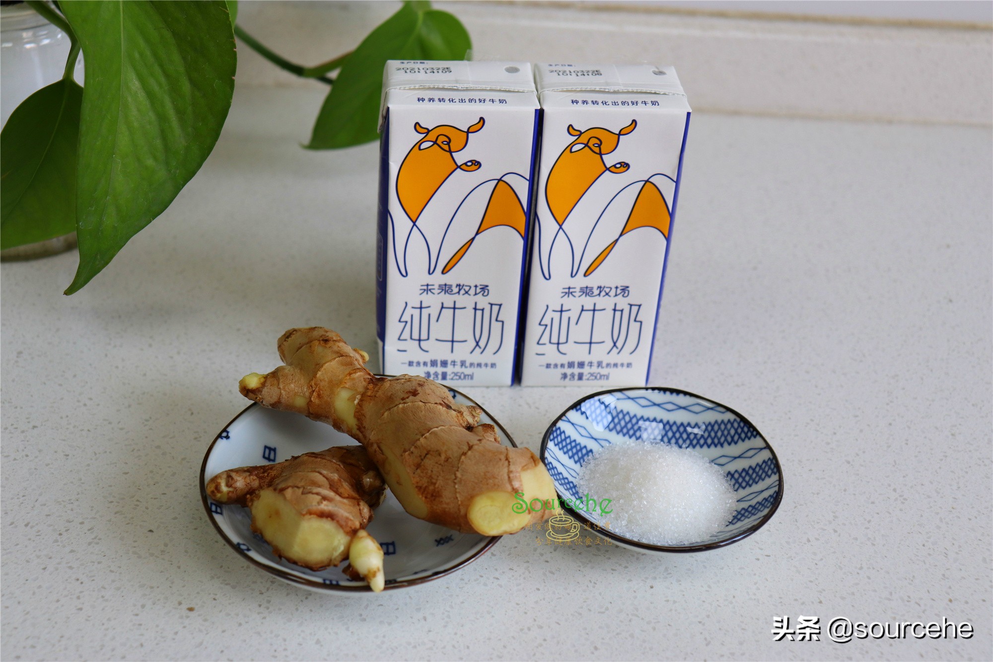 牛奶与生姜汁碰撞之后，香醇爽滑，甜中微辣，尤其适合女生吃