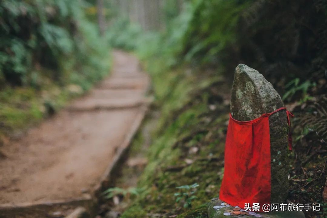 日本熊野古道拍摄,摄影师镜头下的景区