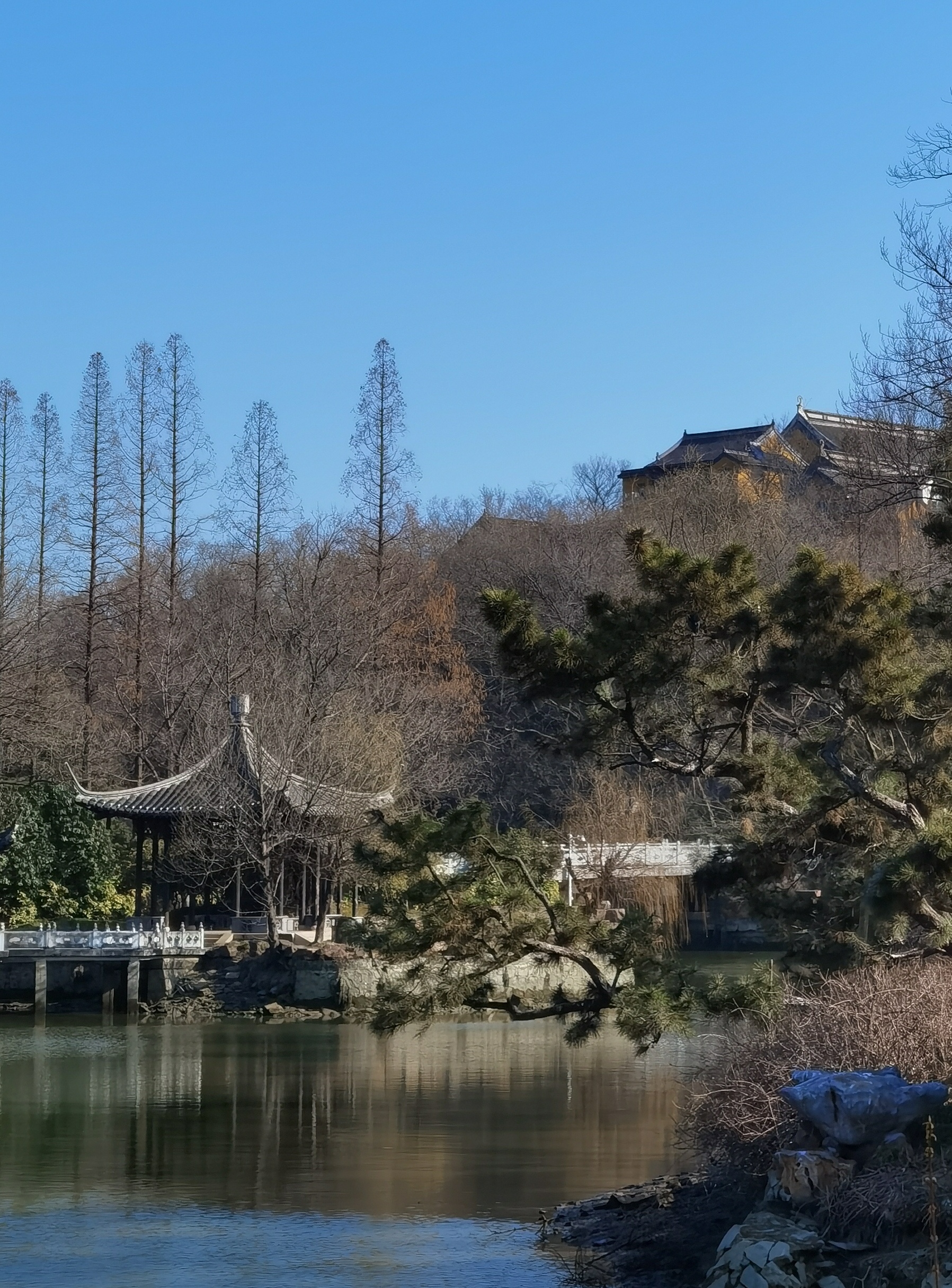 三月的瘦西湖到底有多美,瘦西湖景色到底有多美