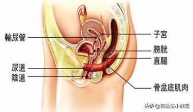 绝经15年,漏尿13年,怎么才能避免尴尬?