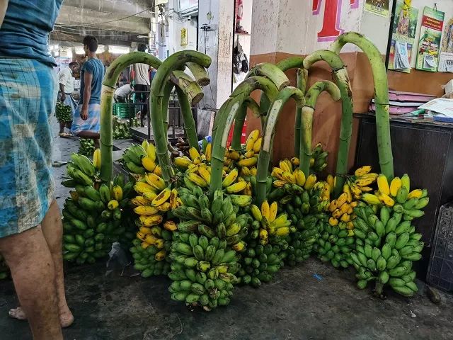 进博会印度今年有什么产品,印度人评进博会带货