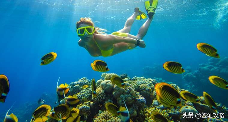 亚庇跳岛游可以自己去吗,亚庇海岛一日游自由行攻略
