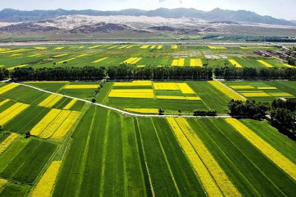 十个创业九个死的原因到底是什么,十个创业九个死哪些行业是重灾区