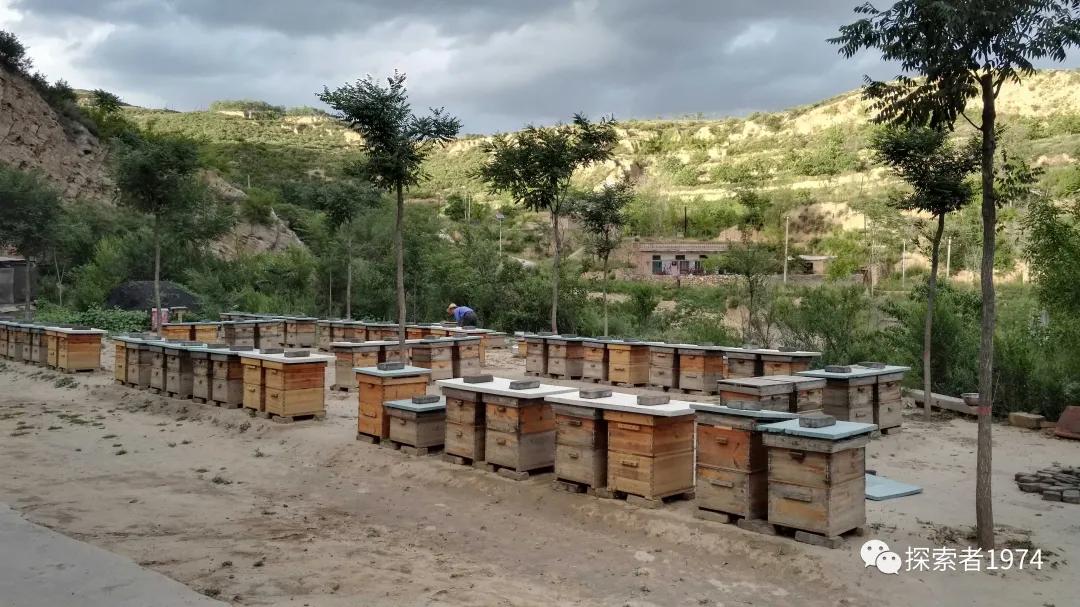 中国这个县“甜蜜事业从业者人数”排第一