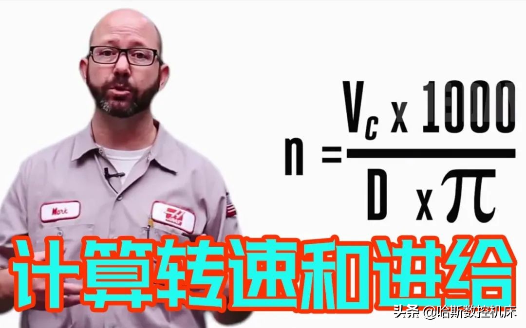 最受欢迎的哈斯,哈斯小贴士