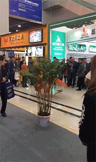 山海经中以乳为目以脐为口的怪物,山海经搞笑图片