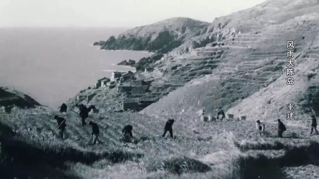 浙江景点花鸟岛,浙江风景花鸟岛